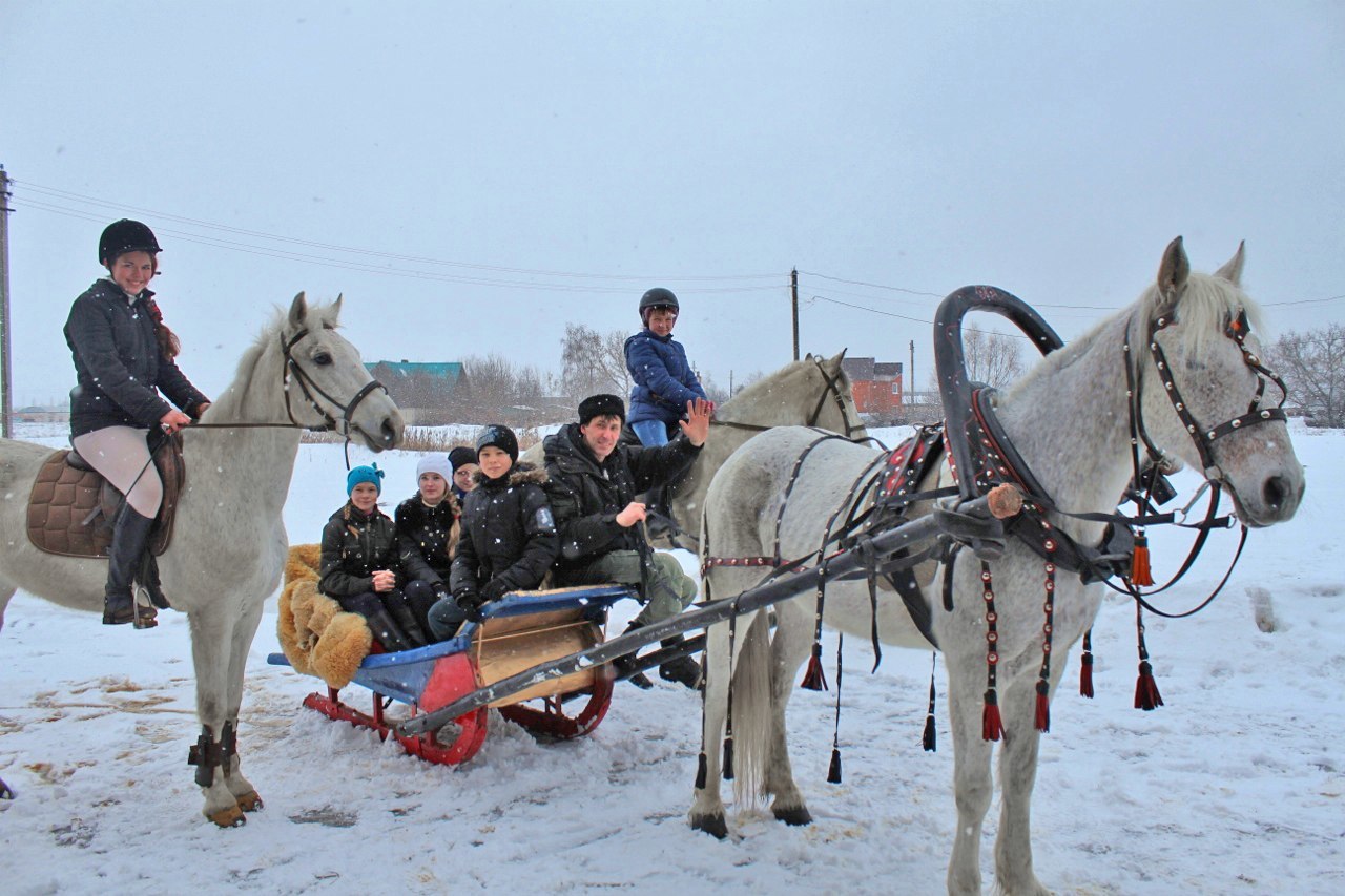 <span style="font-weight: bold;">Катание на санях&nbsp;</span>